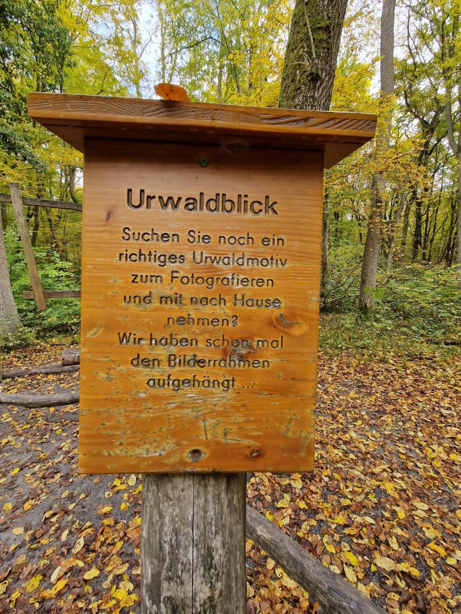 B&B Talstation Horselberg-Hainich Extérieur photo